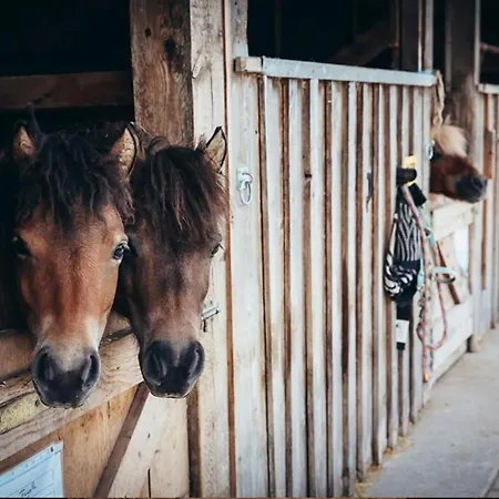 아파트 Clubhaus Bachmair Weissach 테게른제
